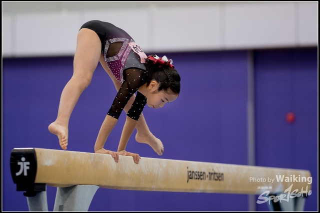 2019-03-31 Artistic Gym 0194