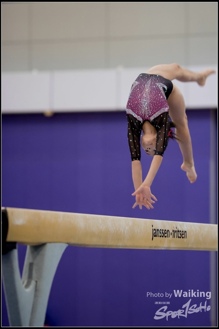 2019-03-31 Artistic Gym 0197