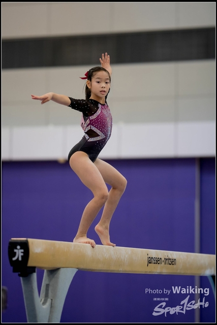 2019-03-31 Artistic Gym 0198