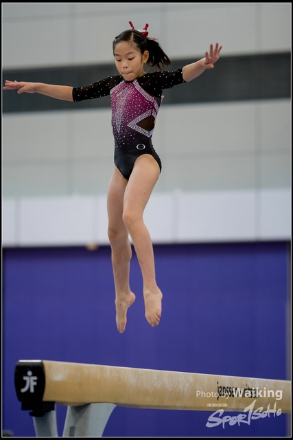 2019-03-31 Artistic Gym 0199