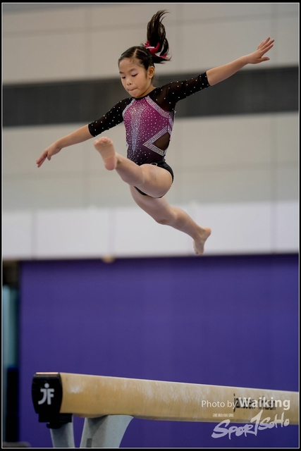2019-03-31 Artistic Gym 0200