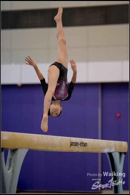 2019-03-31 Artistic Gym 0201