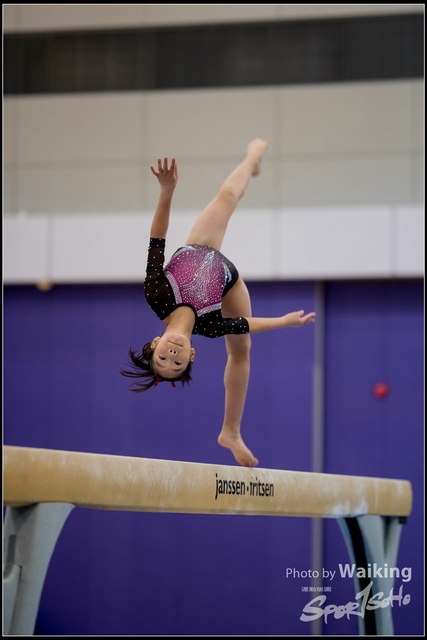 2019-03-31 Artistic Gym 0202