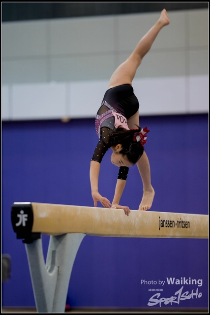 2019-03-31 Artistic Gym 0203