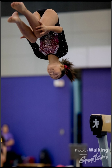 2019-03-31 Artistic Gym 0204