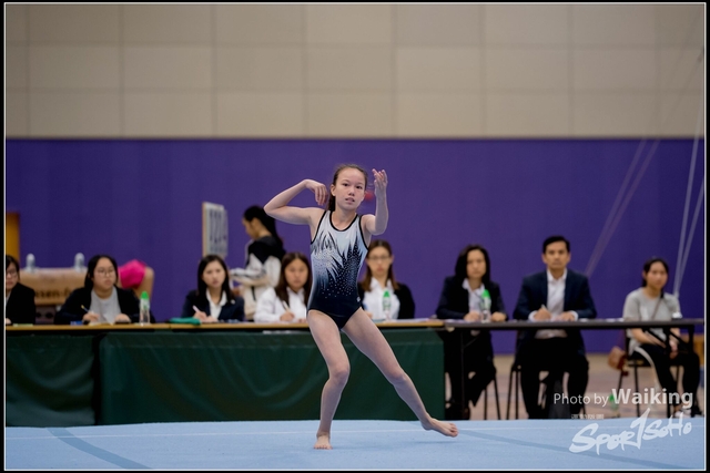 2019-03-31 Artistic Gym 0205