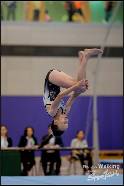 2019-03-31 Artistic Gym 0208