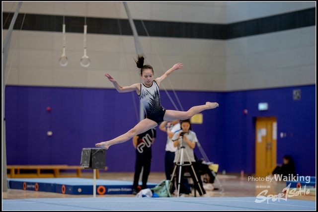 2019-03-31 Artistic Gym 0211