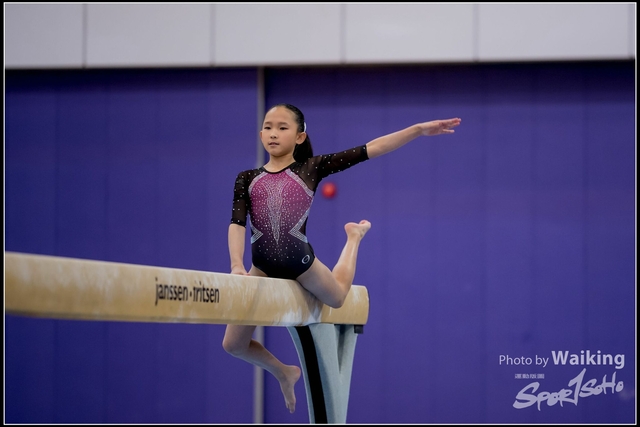 2019-03-31 Artistic Gym 0215