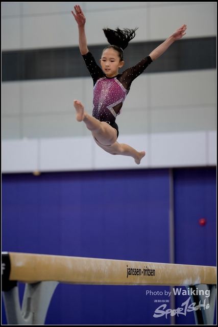 2019-03-31 Artistic Gym 0217