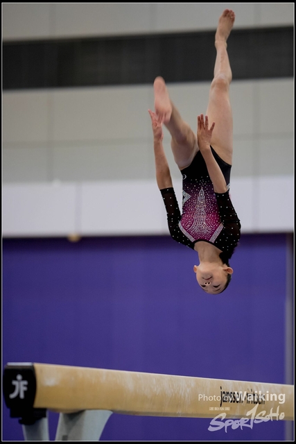 2019-03-31 Artistic Gym 0221