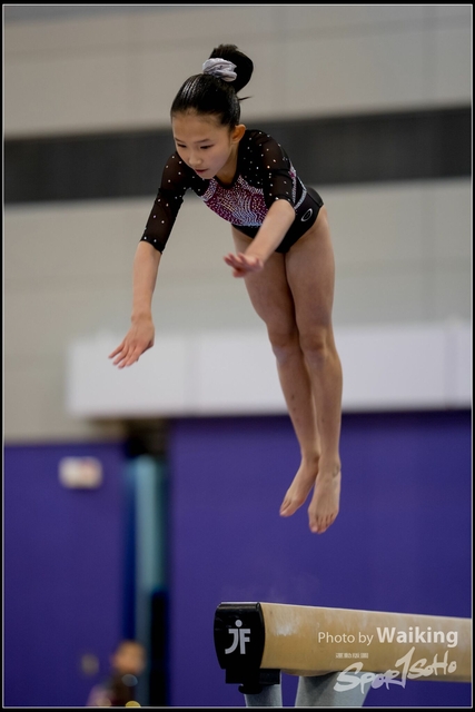2019-03-31 Artistic Gym 0226