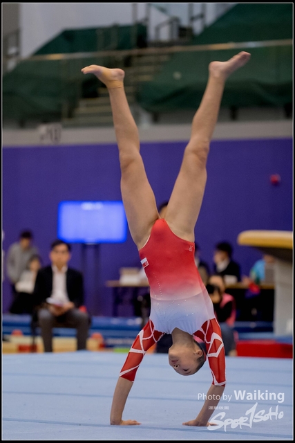 2019-03-31 Artistic Gym 0617