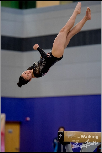 2019-03-31 Artistic Gym 0620