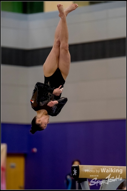 2019-03-31 Artistic Gym 0621