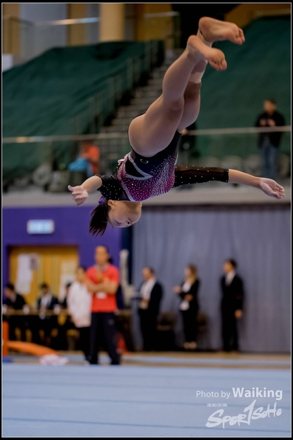 2019-03-31 Artistic Gym 0630