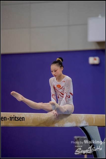 2019-03-31 Artistic Gym 0639