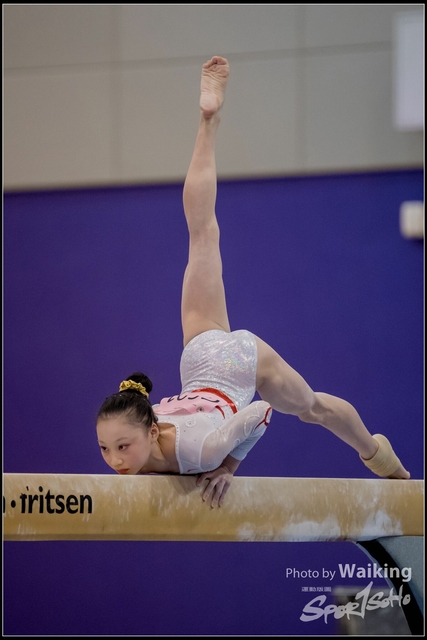 2019-03-31 Artistic Gym 0640