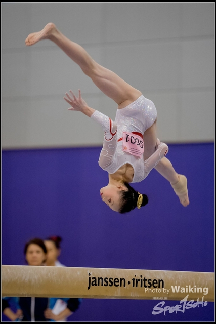 2019-03-31 Artistic Gym 0642
