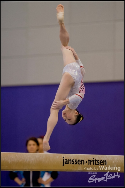 2019-03-31 Artistic Gym 0643
