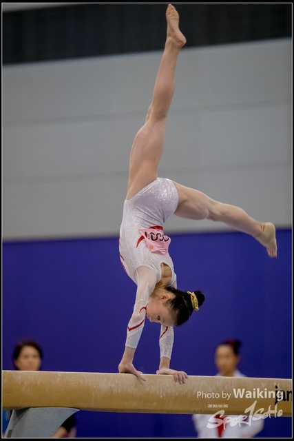 2019-03-31 Artistic Gym 0647