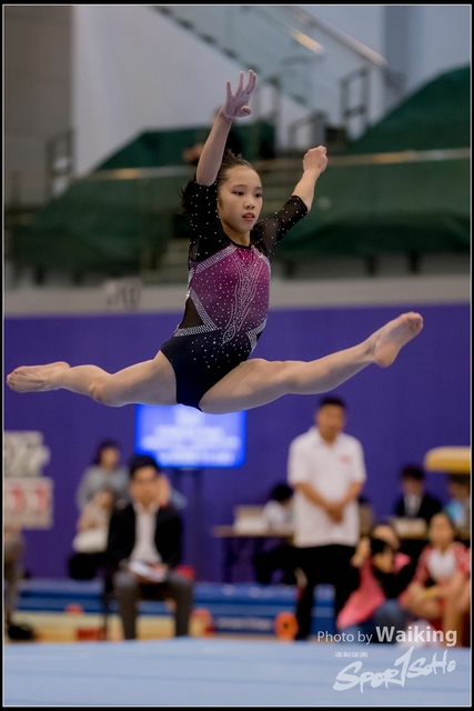 2019-03-31 Artistic Gym 0650