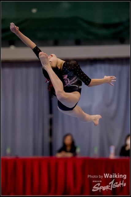 2019-03-31 Artistic Gym 0651