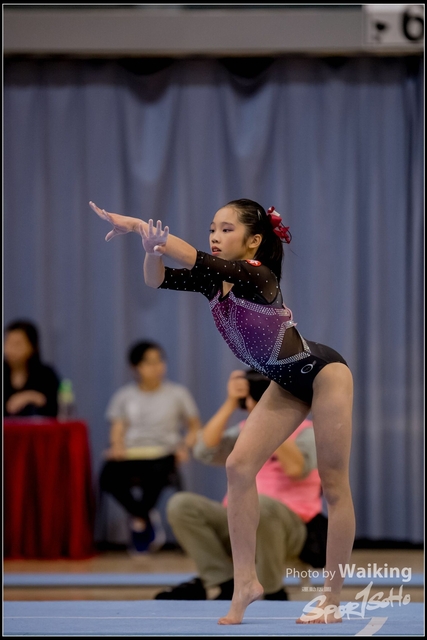 2019-03-31 Artistic Gym 0653