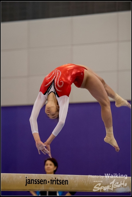 2019-03-31 Artistic Gym 0659