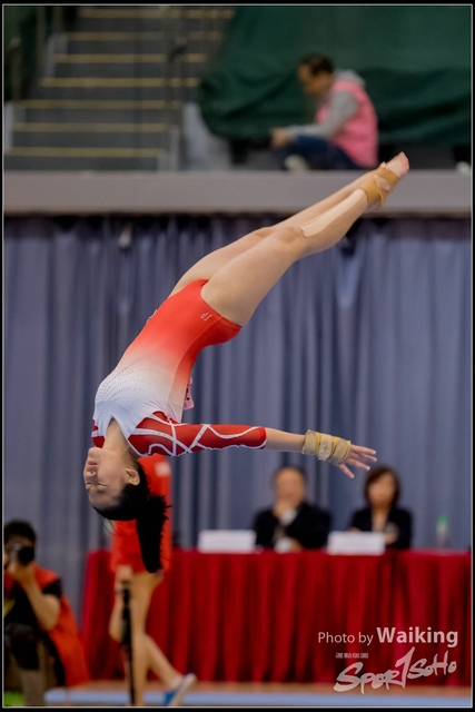 2019-03-31 Artistic Gym 0666