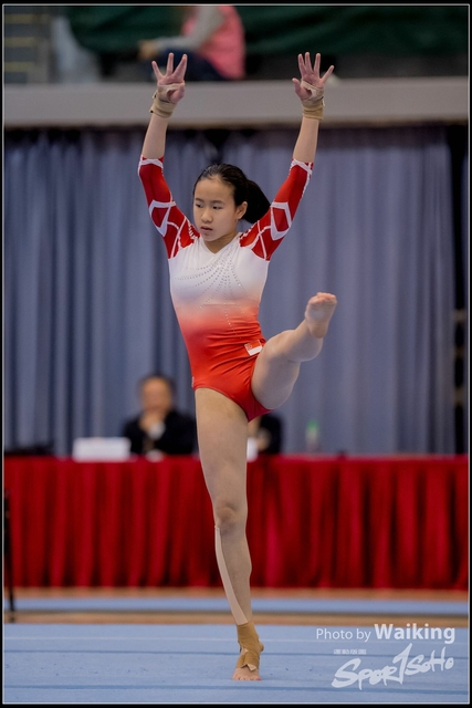 2019-03-31 Artistic Gym 0668