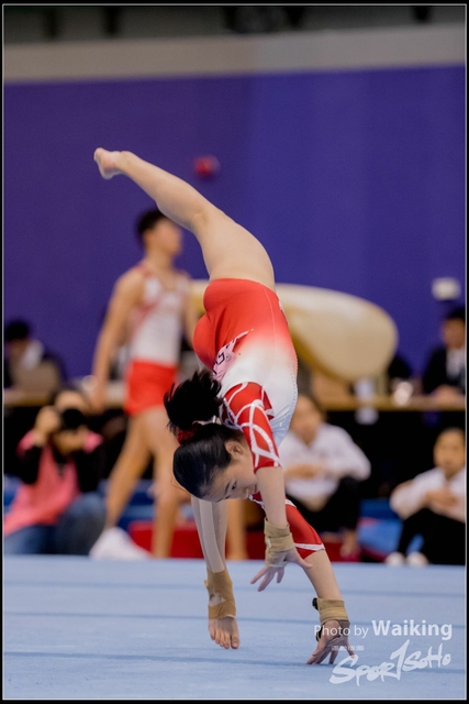 2019-03-31 Artistic Gym 0671