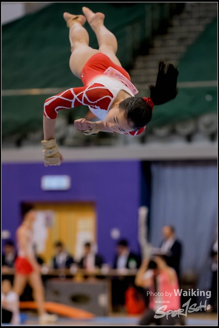 2019-03-31 Artistic Gym 0672