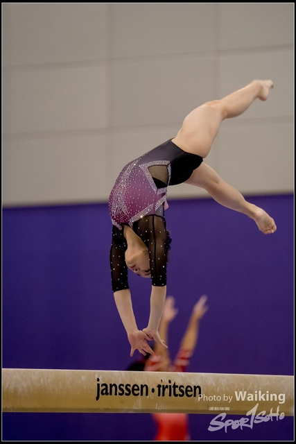 2019-03-31 Artistic Gym 0675