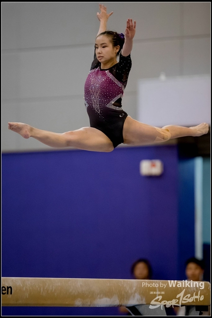 2019-03-31 Artistic Gym 0687