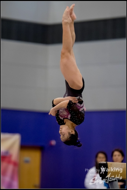 2019-03-31 Artistic Gym 0689