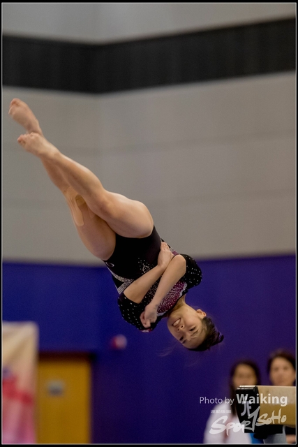 2019-03-31 Artistic Gym 0690