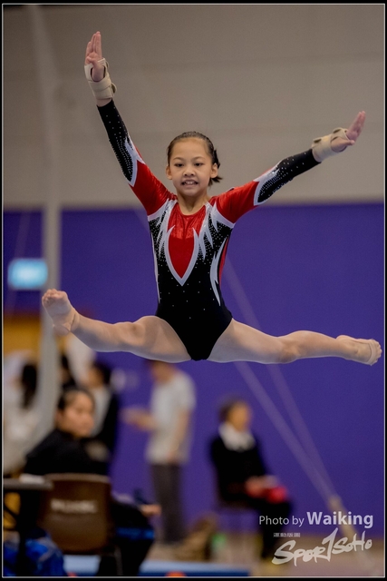 2019-03-31 Artistic Gym 0693