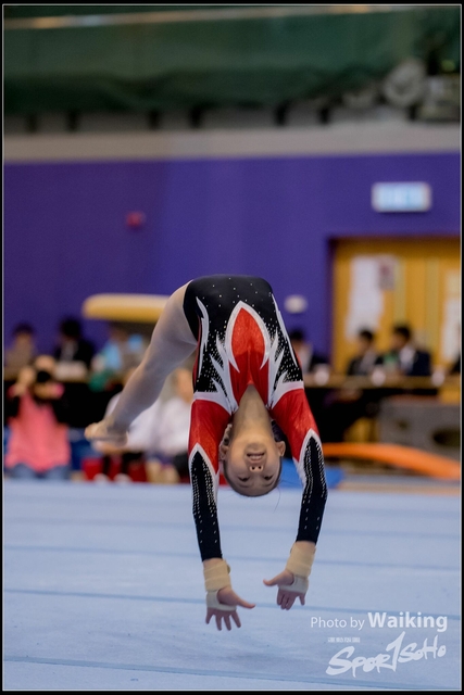 2019-03-31 Artistic Gym 0696