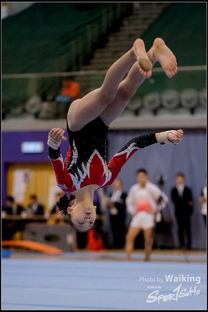 2019-03-31 Artistic Gym 0697