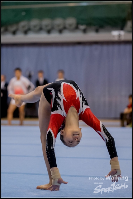2019-03-31 Artistic Gym 0698