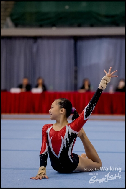2019-03-31 Artistic Gym 0699