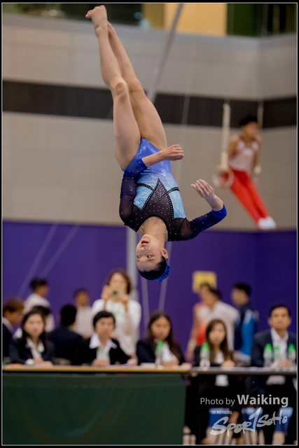 2019-03-31 Artistic Gym 0716
