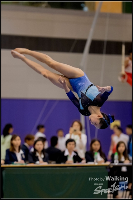 2019-03-31 Artistic Gym 0717