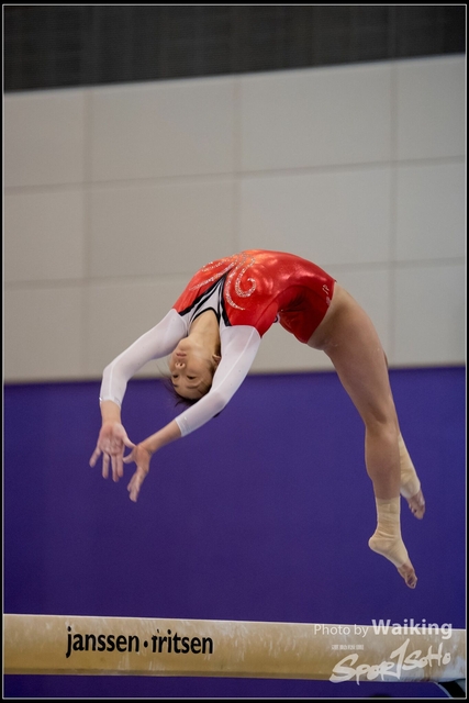 2019-03-31 Artistic Gym 0719