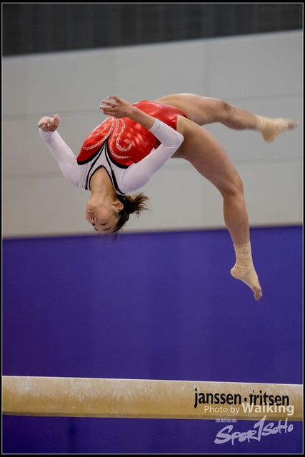 2019-03-31 Artistic Gym 0720