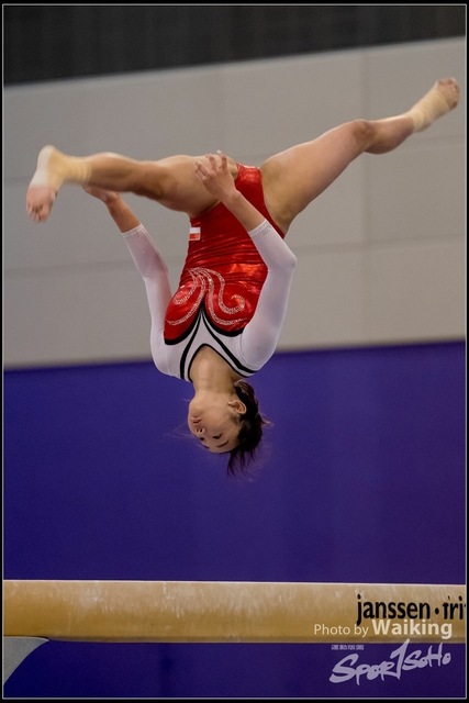 2019-03-31 Artistic Gym 0721