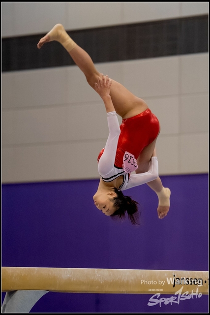 2019-03-31 Artistic Gym 0726