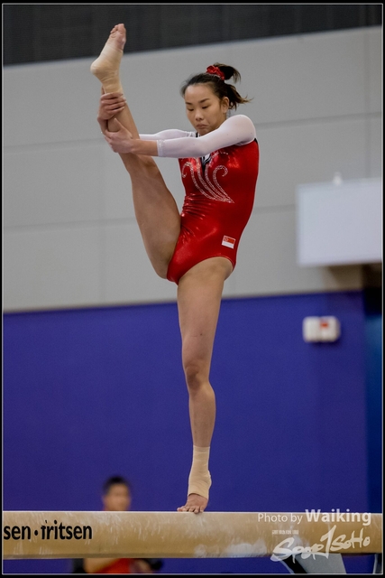 2019-03-31 Artistic Gym 0728