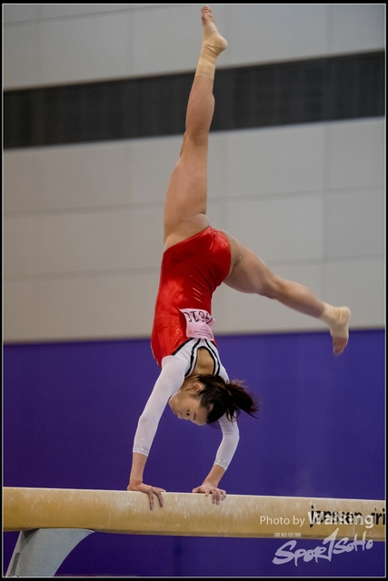 2019-03-31 Artistic Gym 0729